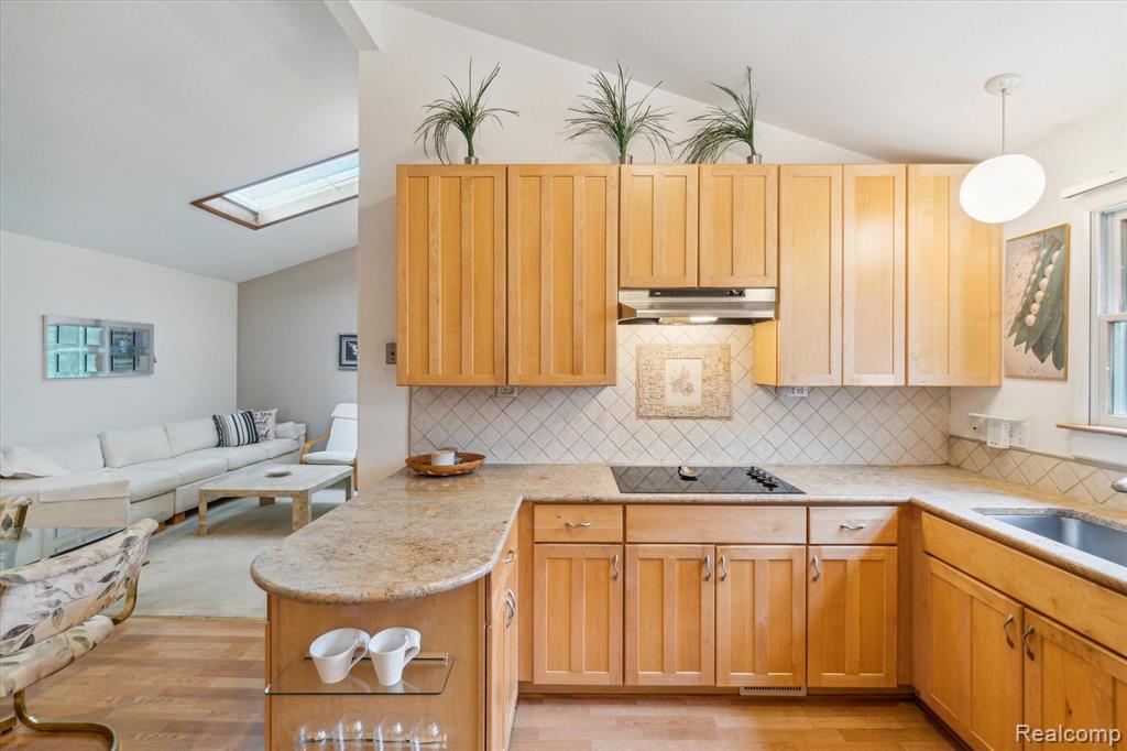 42519 Park Ridge Road Novi, MI 48375 - Photo 8 of 25