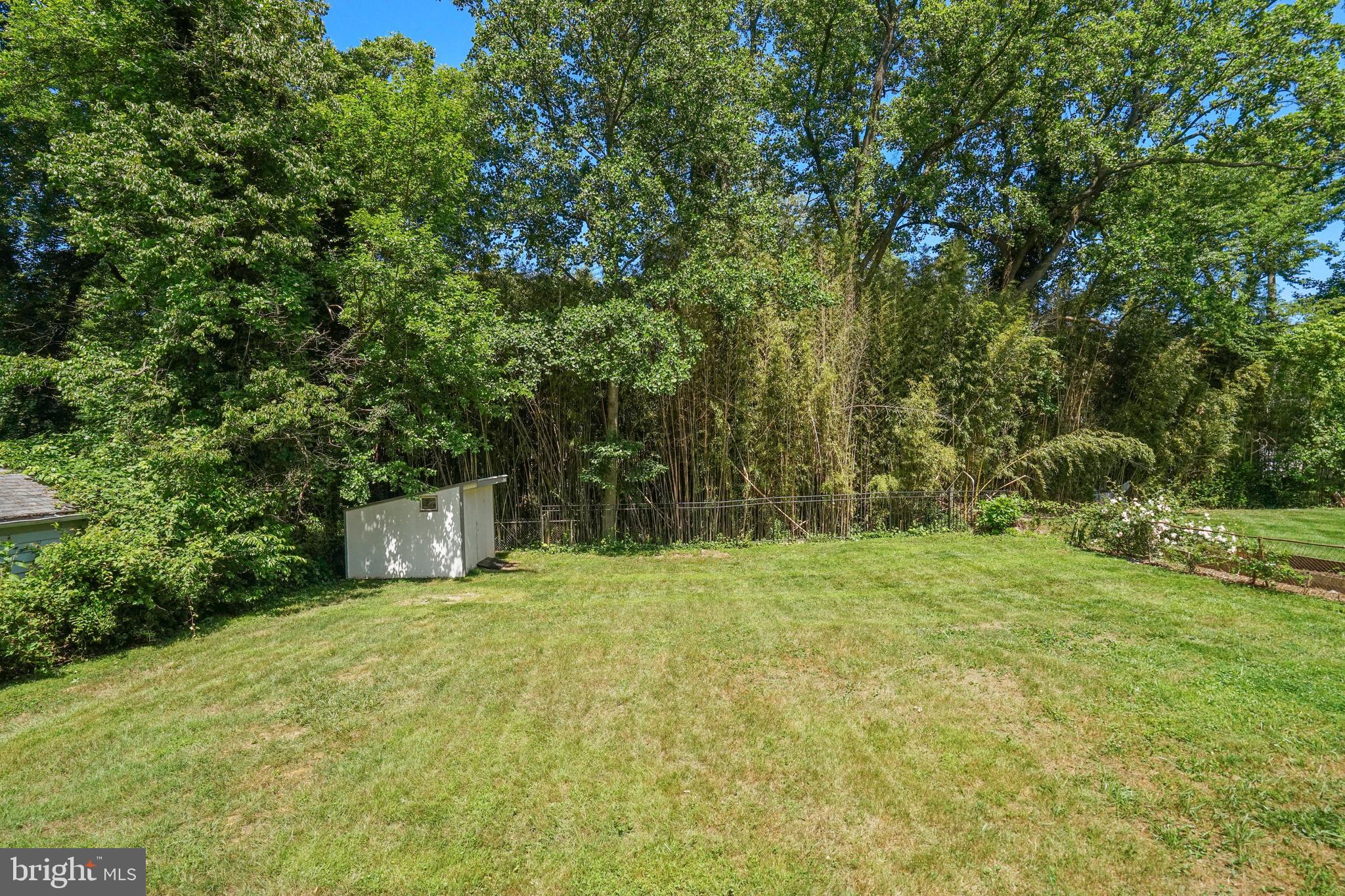 2023 Griffith Road Falls Church, VA 22043 - Photo 17 of 23 Backyard