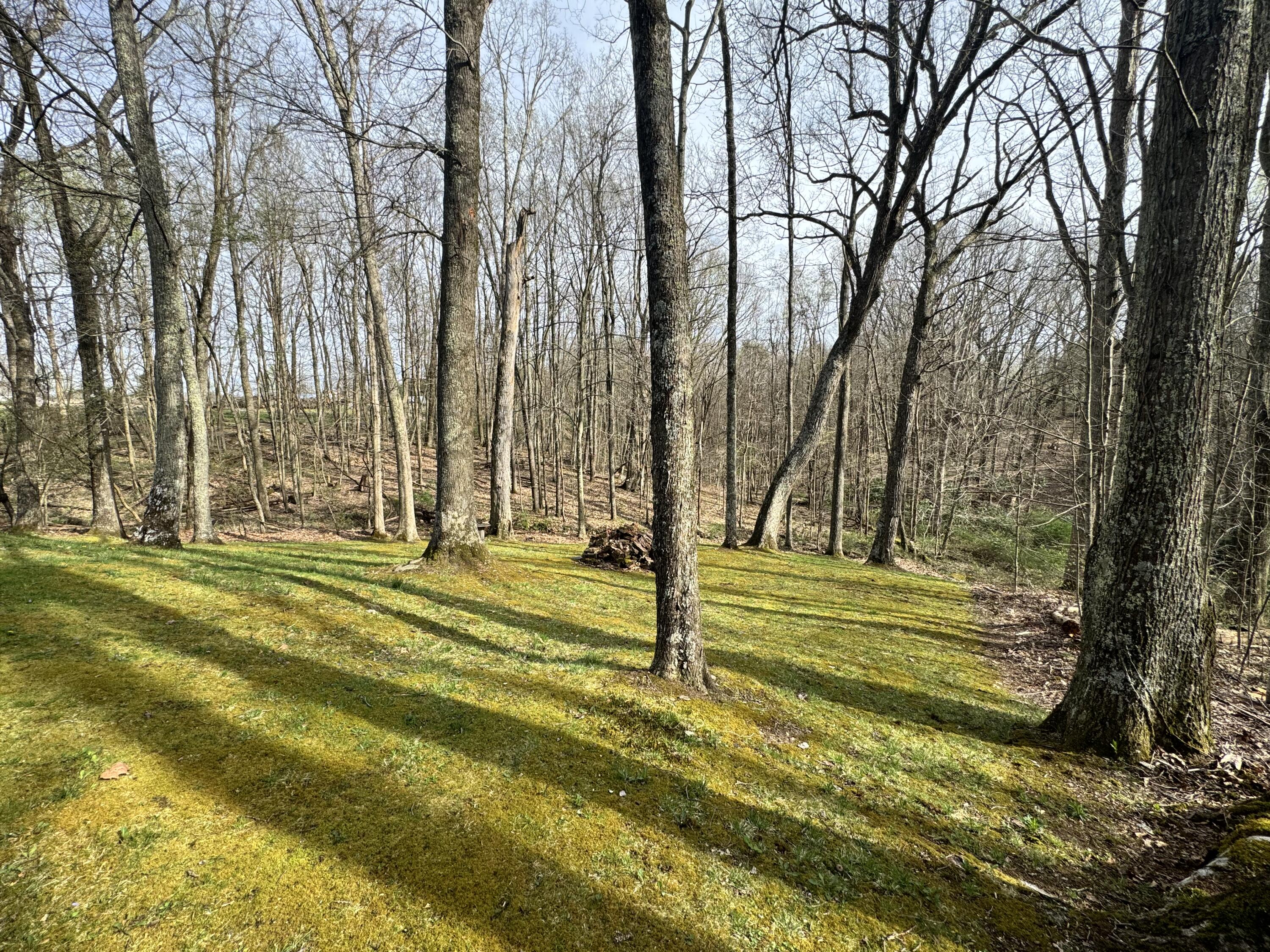 95 Rusty Road Nettie, WV 26681 - Photo 52 of 60 Gallery Image 52