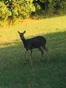 $35,000 | 22-42 Pine Loop, Mound City, KS 66056