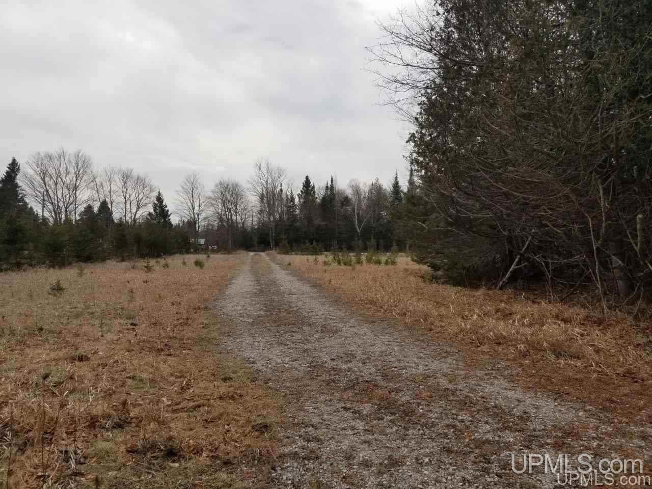 Tbd Stelzer Road Gulliver, MI 49840 - Photo 26 of 26