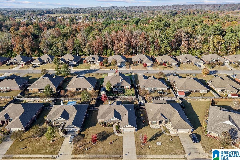325 Golden Meadows Place Alabaster, AL 35007 - Photo 6 of 41