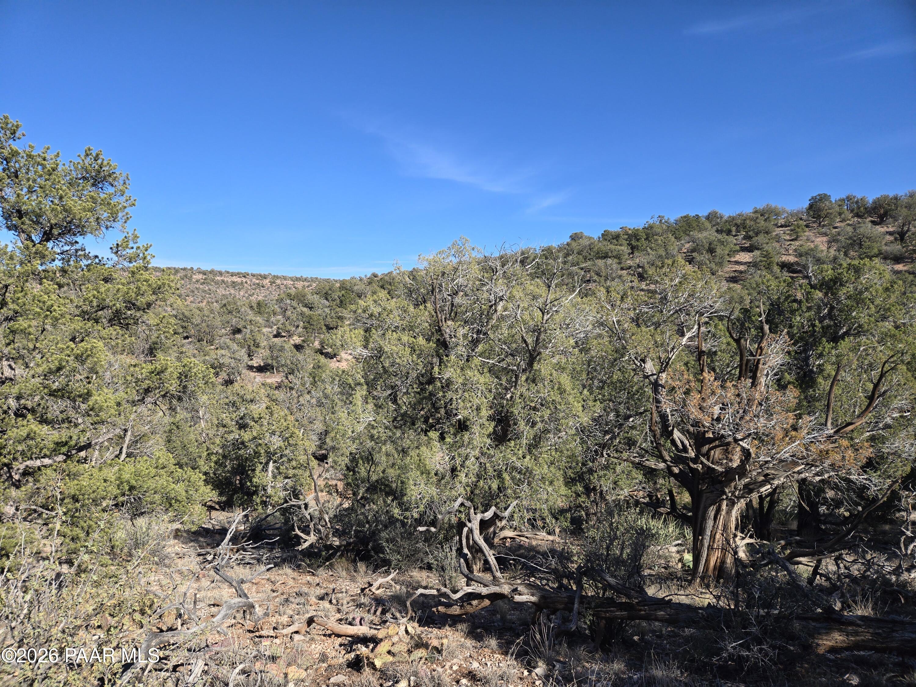 446 Arizona Road Ash Fork, AZ 86320 - Photo 11 of 13 20260206_145512