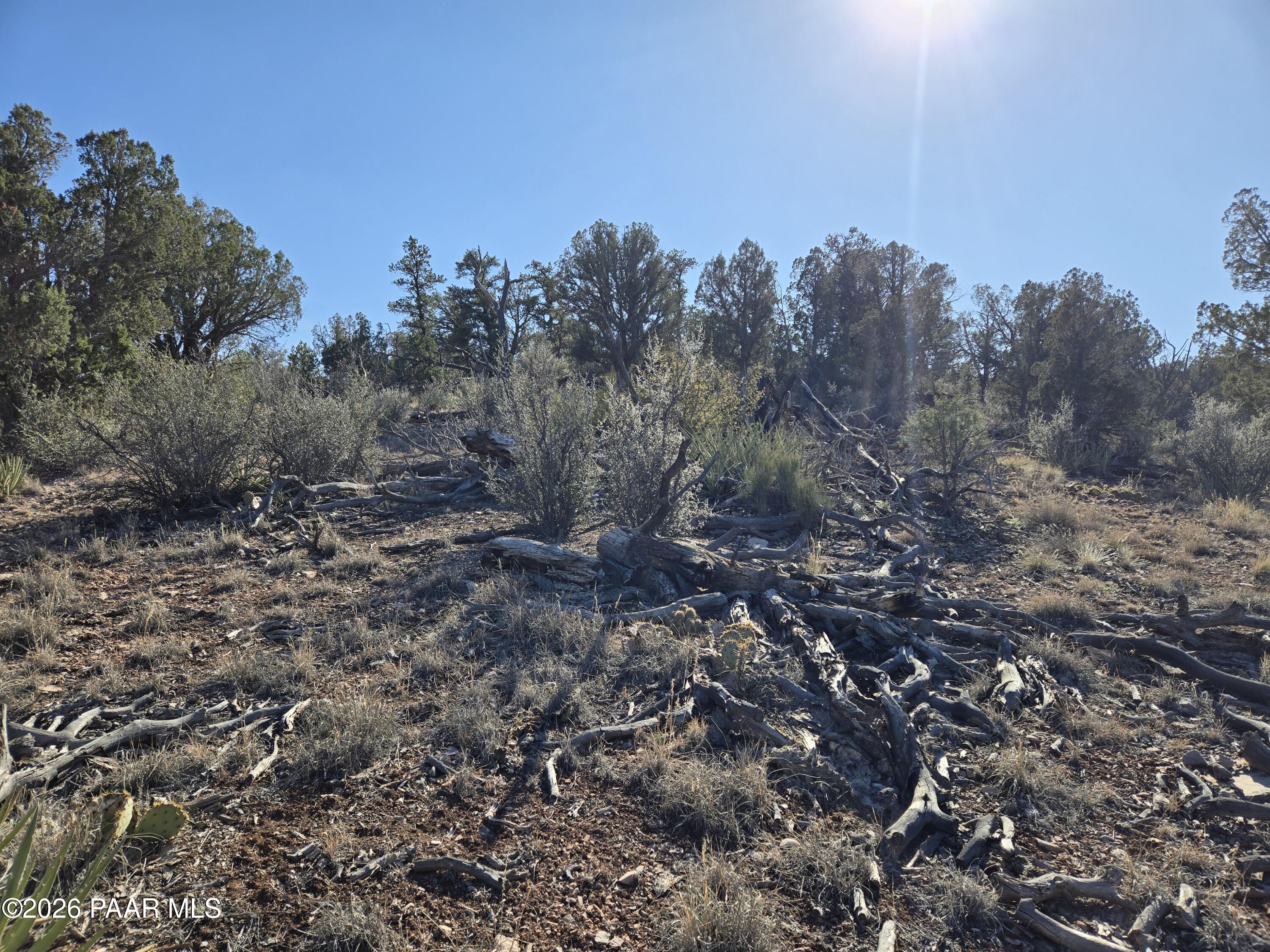 446 Arizona Road Ash Fork, AZ 86320 - Photo 10 of 13 20260206_145556