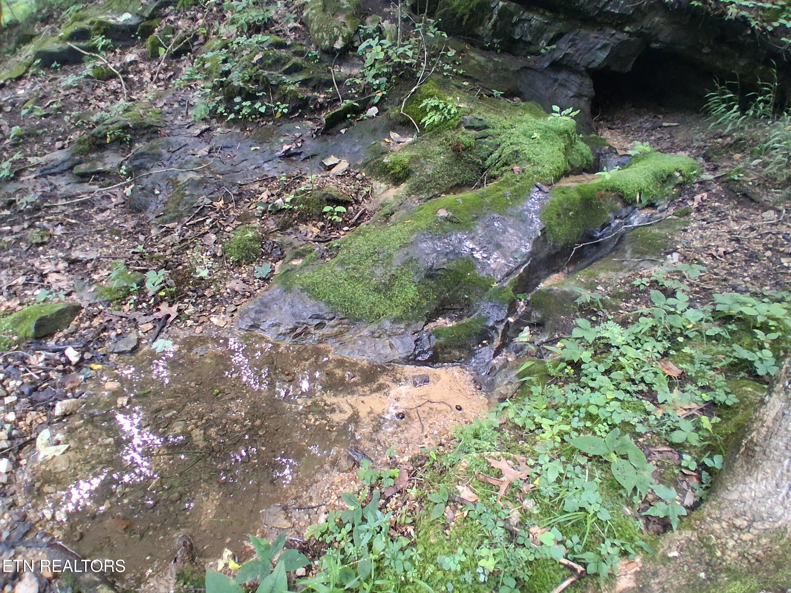 291 Evans Ridge Road Speedwell, TN 37870 - Photo 50 of 50 20260723_124144