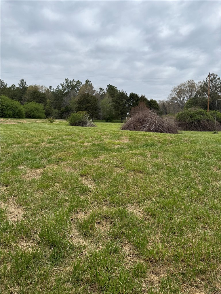 0 Mahaffey Road Williamston, SC 29697 - Photo 3 of 11