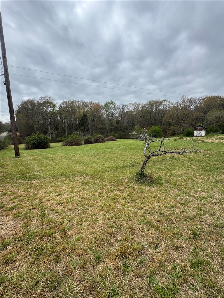 0 Mahaffey Road Williamston, SC 29697 - Photo 8 of 11