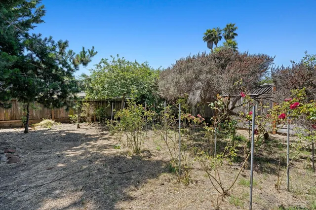 a backyard of a house with lots of green space