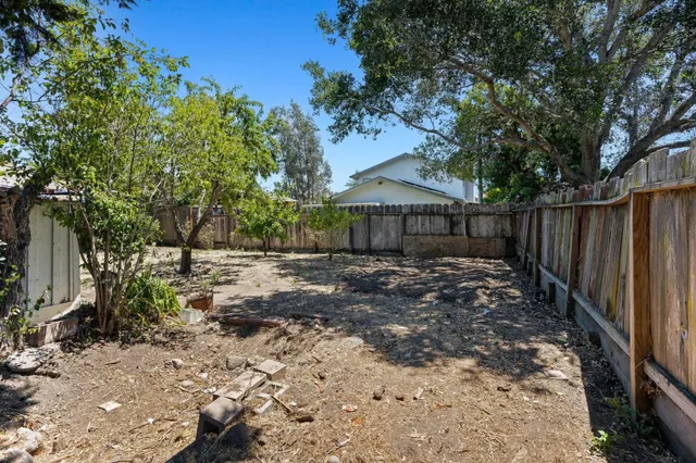 a view of a backyard with large trees and wooden fence