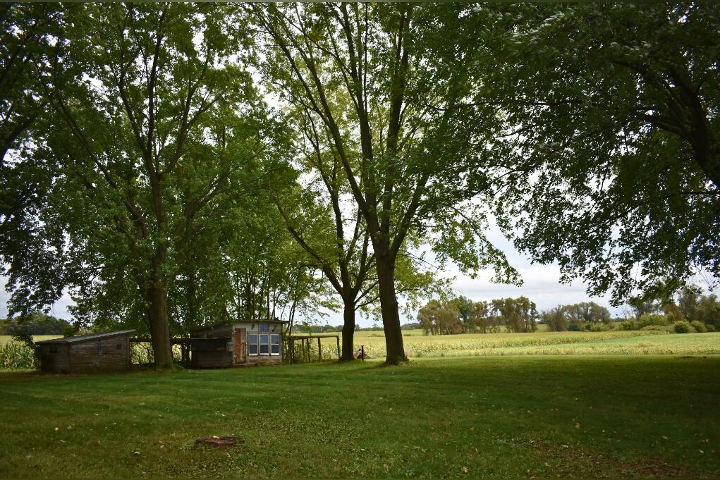 W7017 Redwood Road Chester, WI 53922 - Photo 50 of 58 1shed.1