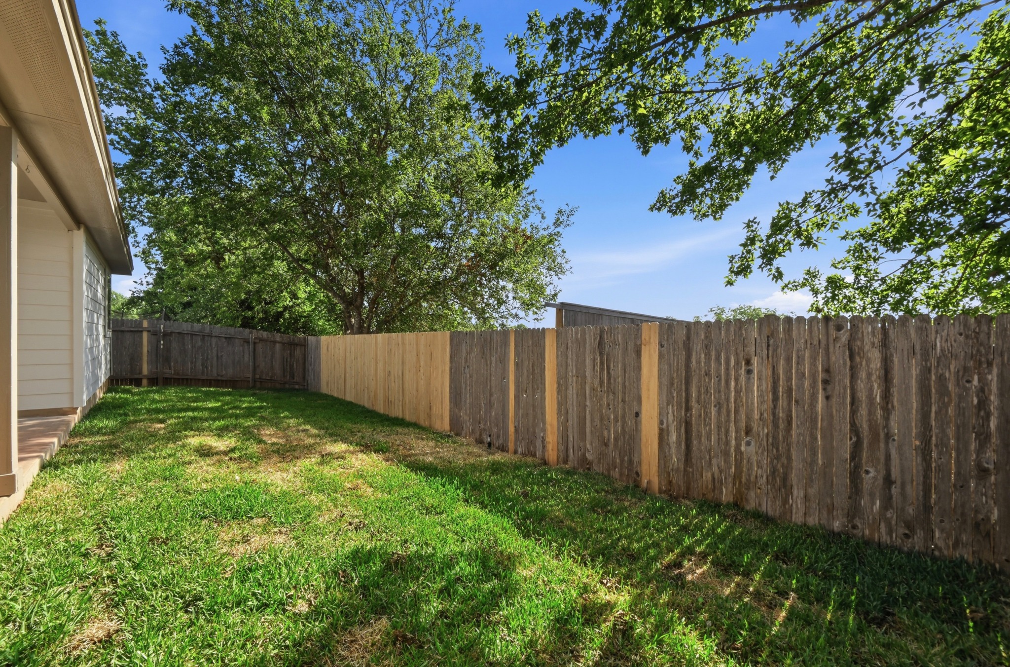 13009 Olivers Way Manchaca, TX 78652 - Photo 32 of 37 a view of backyard with tree