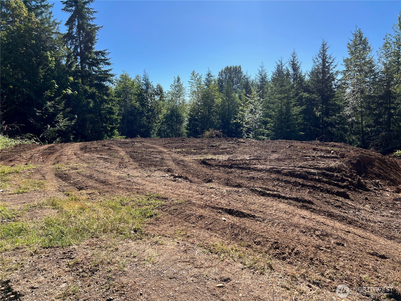 992 Sunrise Road Brinnon, WA 98320 - Photo 13 of 15