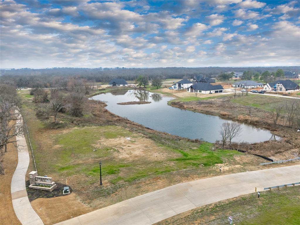 1021 Willow Point Oak Point, TX 75068 - Photo 8 of 22 a view of lake view