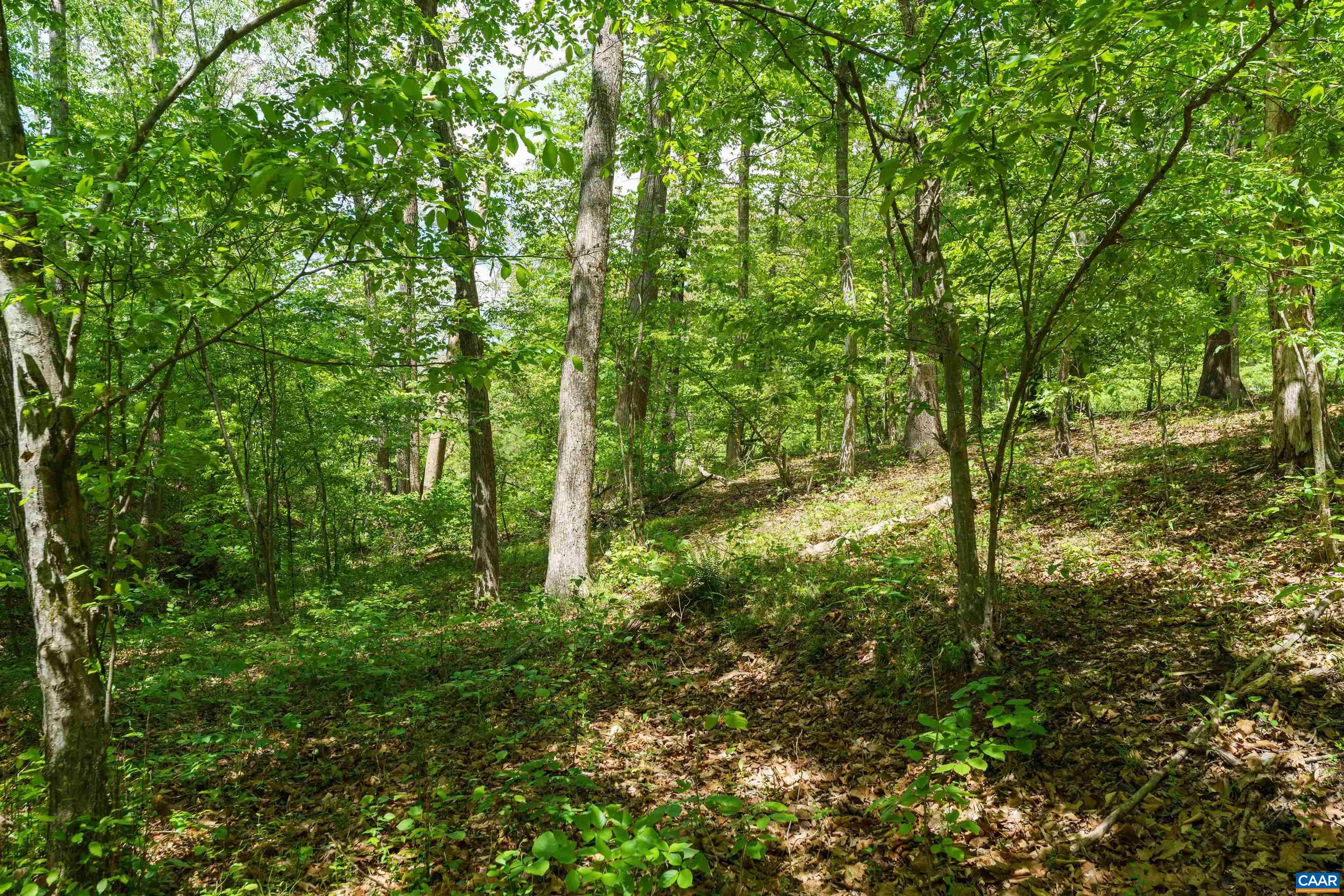 418 James River Road Scottsville, VA 24590 - Photo 47 of 61 a view of a garden