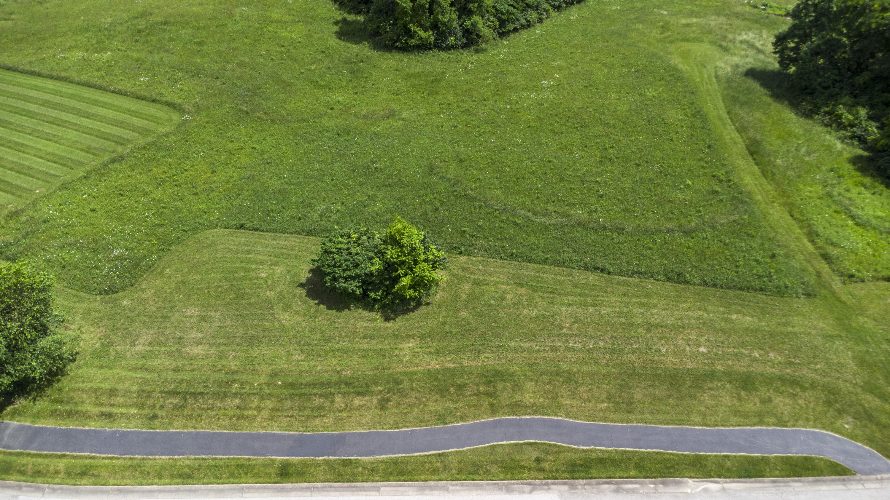 101 Hogan's Parkway Dry Ridge, KY 41035 - Photo 6 of 16 Hogans Mill-12