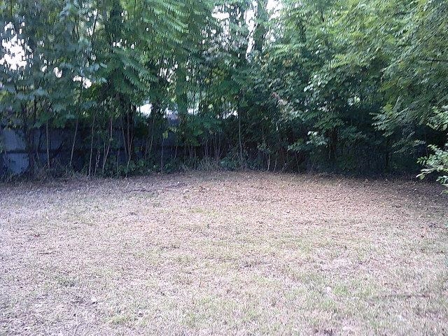 3172 Hoskins Road Memphis, TN 38111 - Photo 5 of 15 View of yard