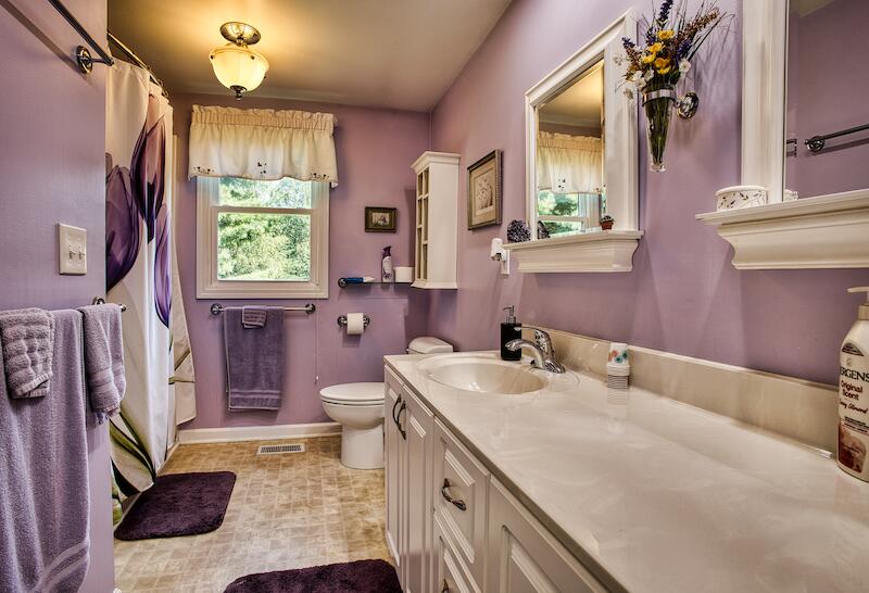 1199 Brammer Spur Road Woolwine, VA 24185 - Photo 21 of 36 a bathroom with a sink a vanity and a mirror