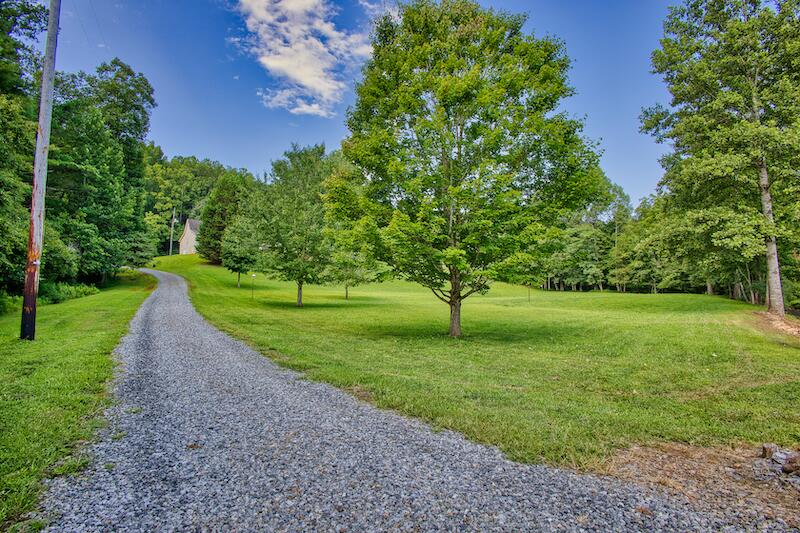 1199 Brammer Spur Road Woolwine, VA 24185 - Photo 8 of 36 a view of a tree in a park
