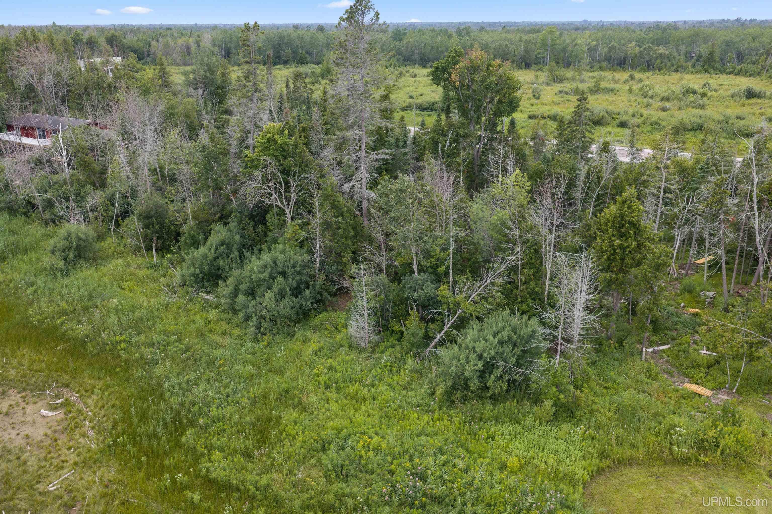 M35 South Rd Bark River Bark River, MI 49807 - Photo 3 of 12 Gallery Image 3