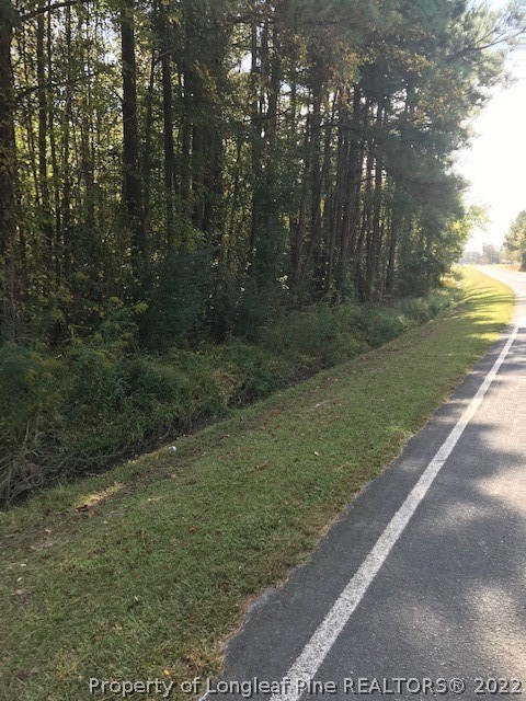 Fred Hall Road Stedman, NC 28391 - Photo 2 of 5 a view of a yard with trees