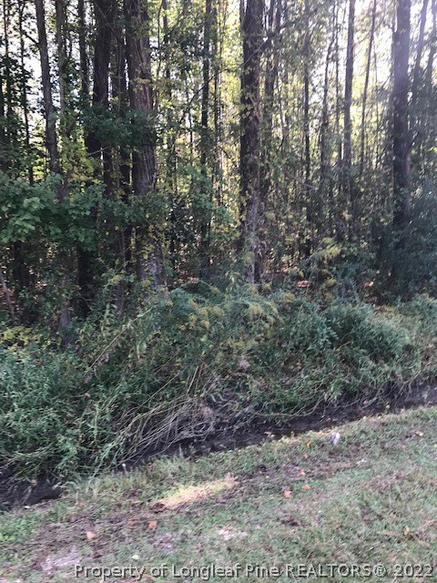 Fred Hall Road Stedman, NC 28391 - Photo 3 of 5 a view of a forest with large trees
