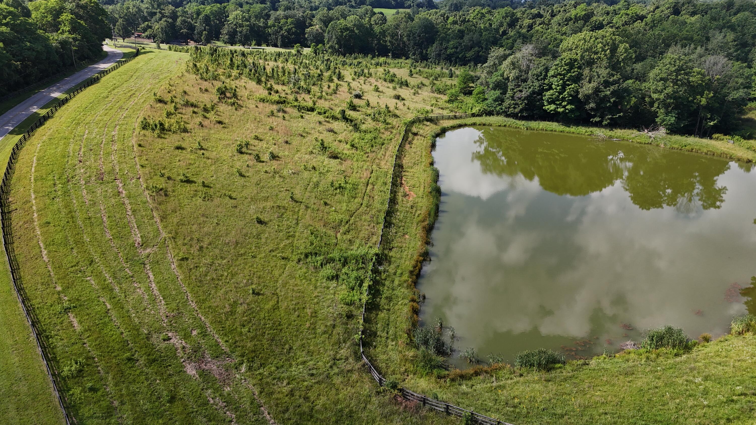 9477 Beechgrove Road Burlington, KY 41005 - Photo 32 of 47 DJI_20260617102512_0640_D