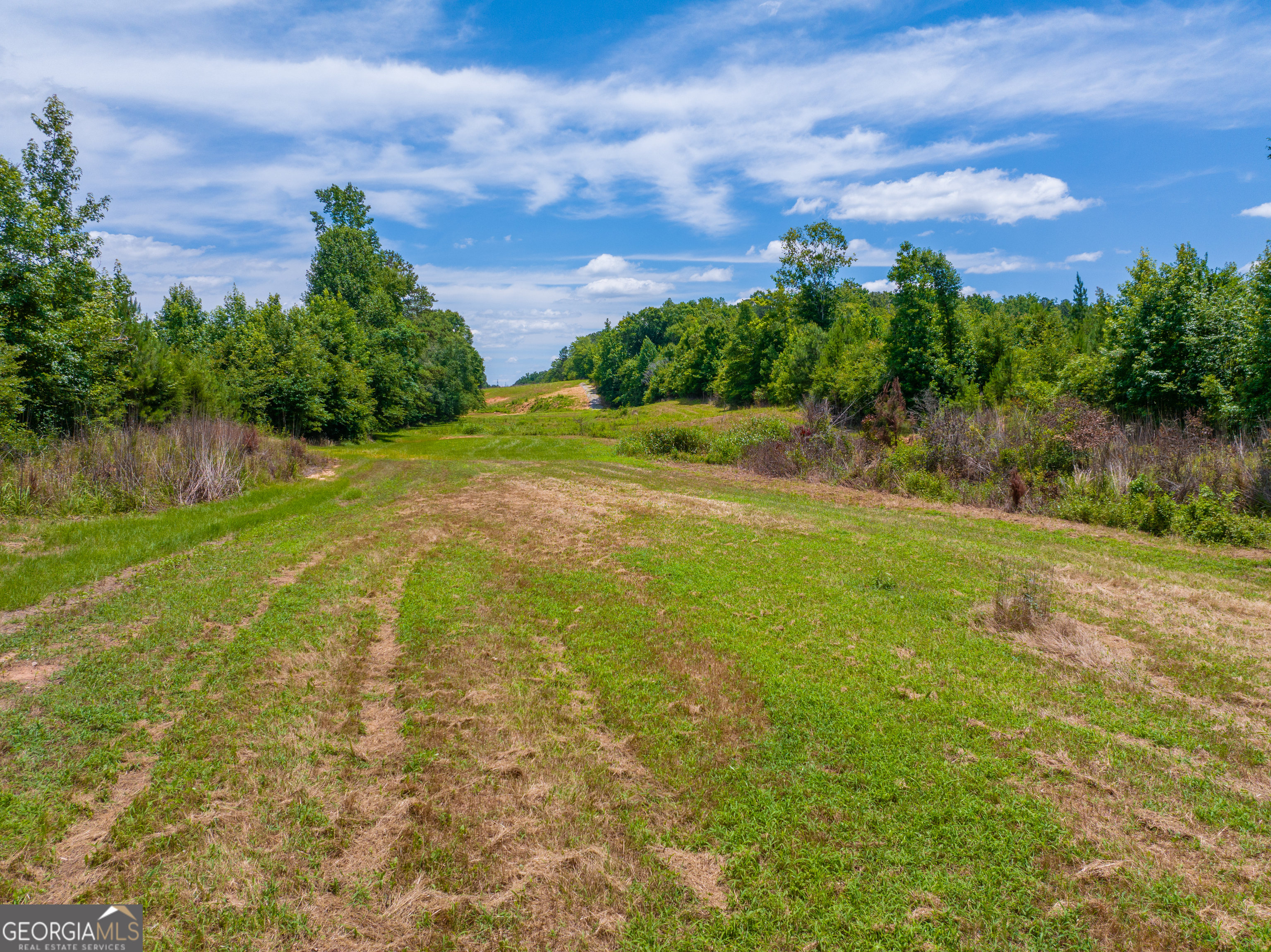 21.4-acres Cochran Road Madison, GA 30650 - Photo 9 of 12