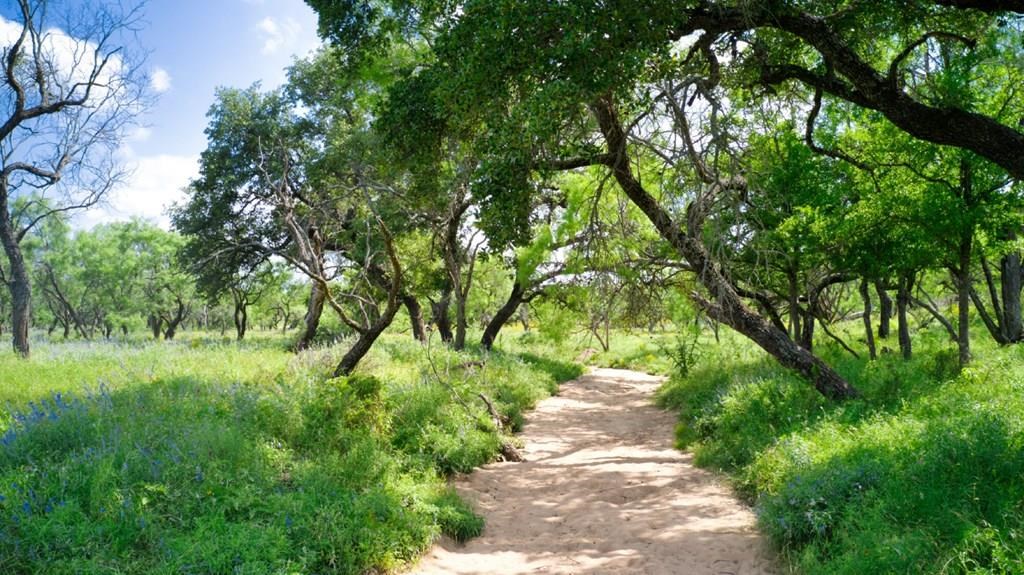 0 Sandy Lane Road Mason, TX 76856 - Photo 4 of 5 Gallery Image 4