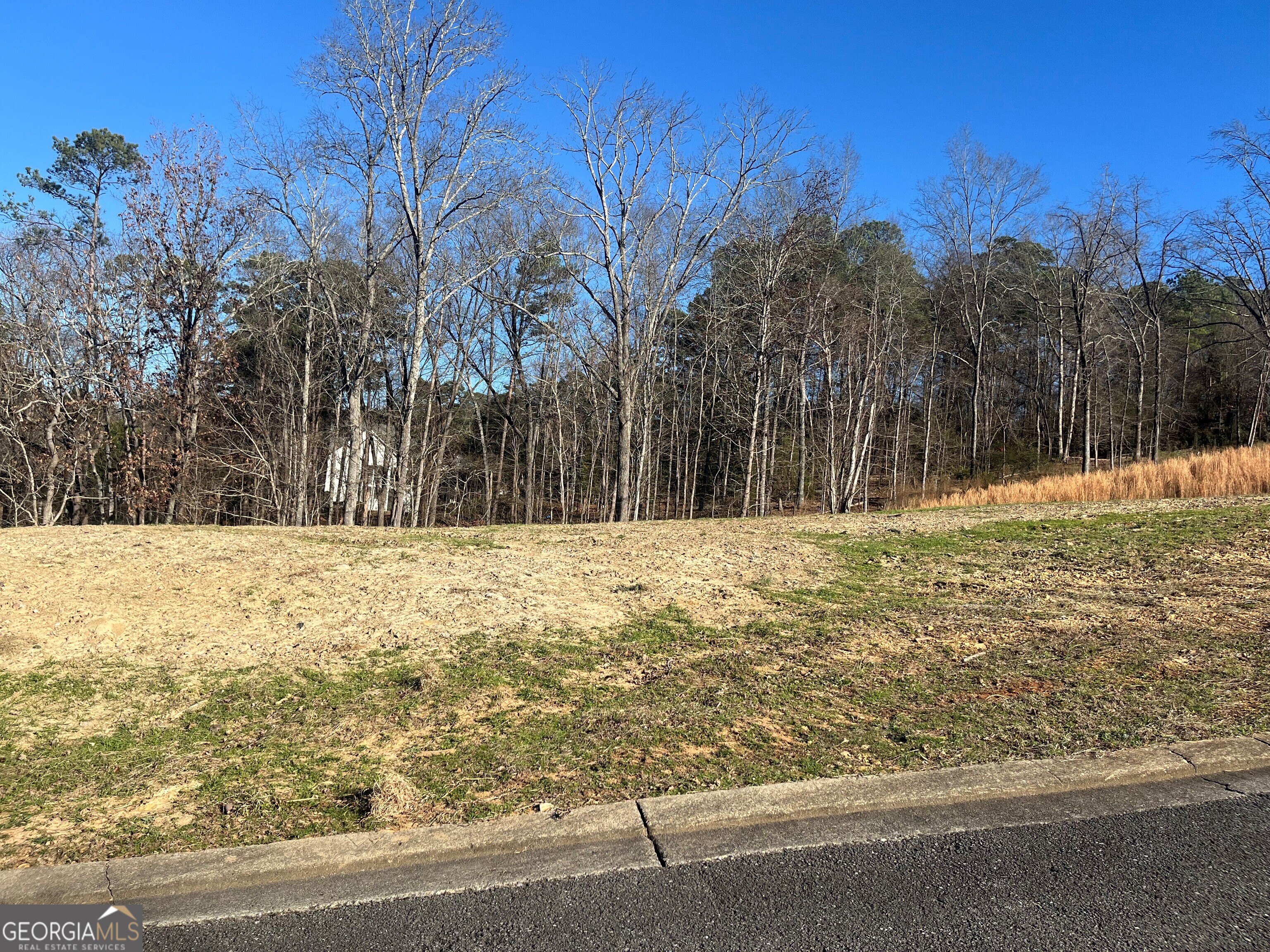 51 Mountain Crest Drive Rome, GA 30165 - Photo 4 of 6 a view of large yard