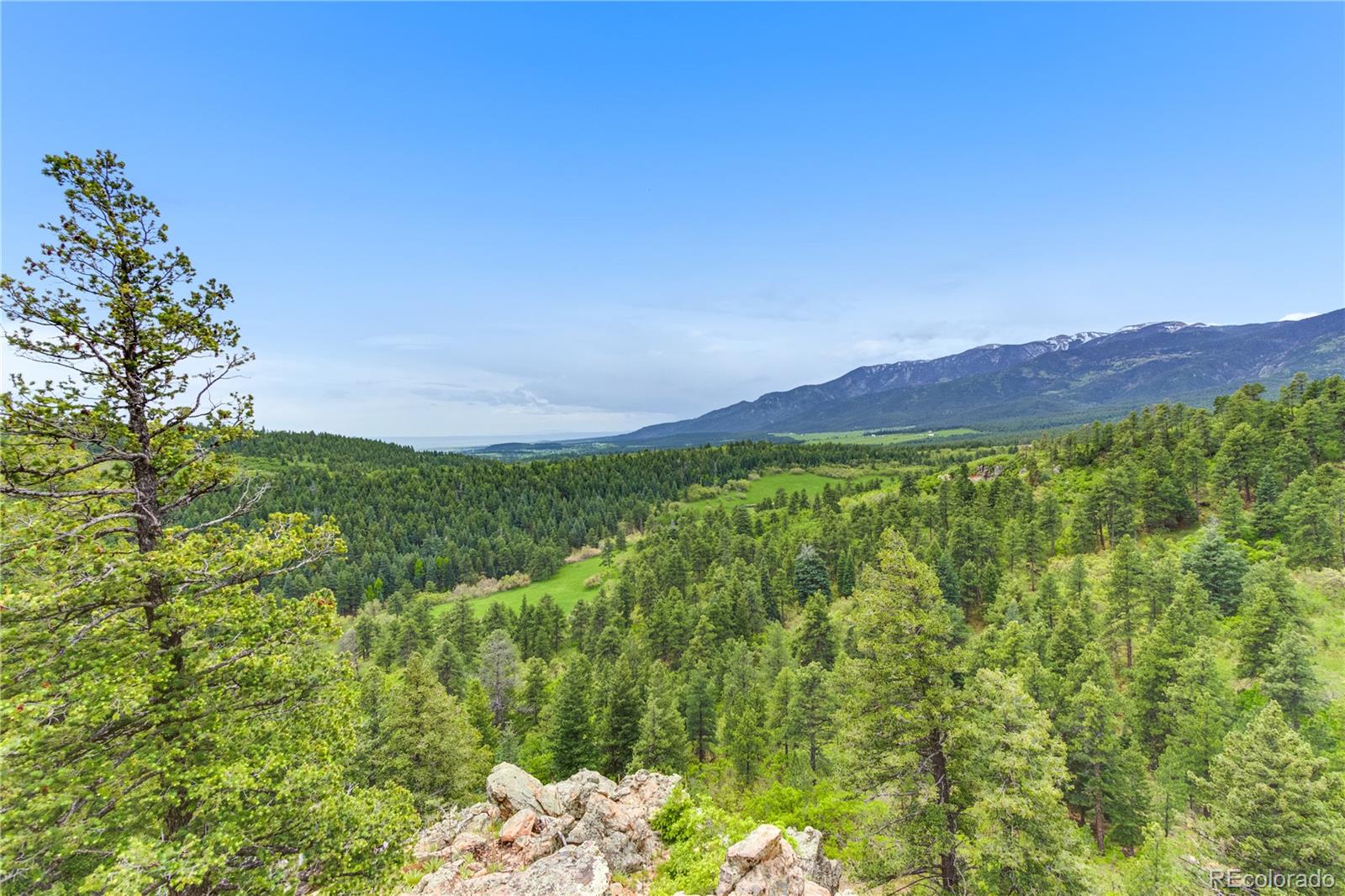 8834 Deiffendeffer Road Beulah, CO 81023 - Photo 48 of 49