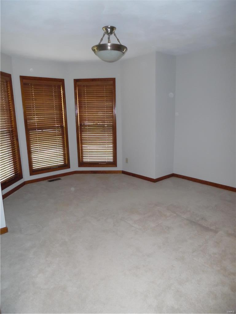 2901 Mullins Road Millstadt, IL 62260 - Photo 12 of 65 Gallery Image 12