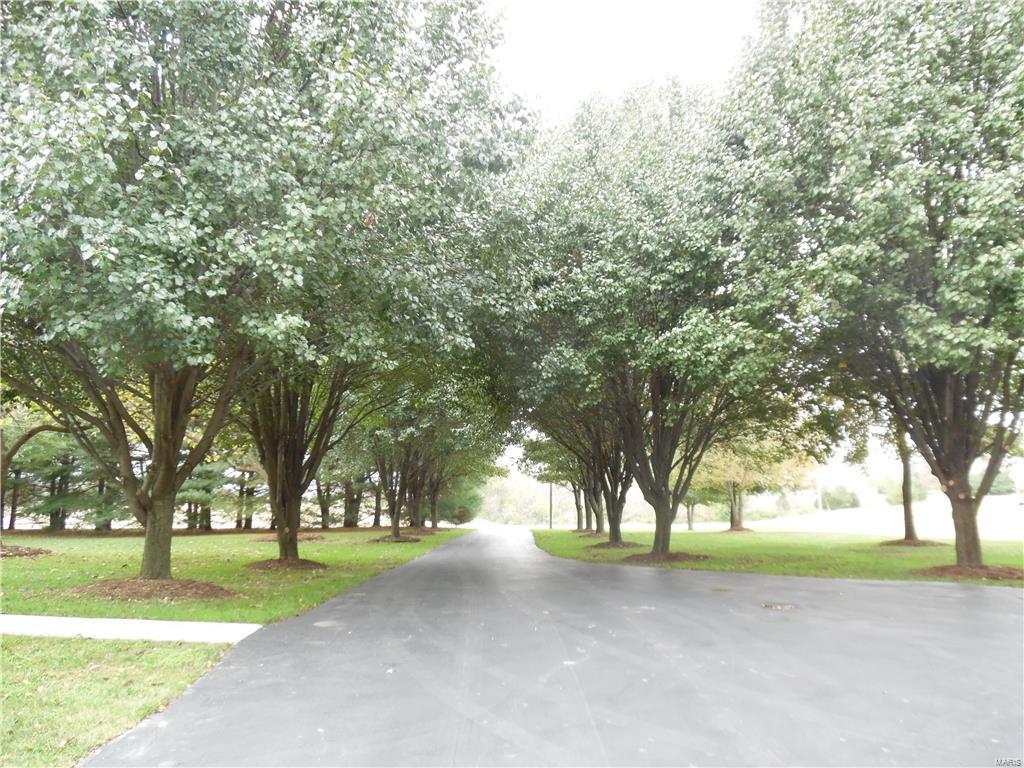 2901 Mullins Road Millstadt, IL 62260 - Photo 47 of 65 Gallery Image 47