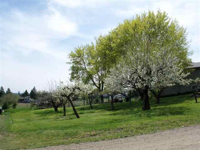 25 West Fleming Avenue Colbert, WA 99005 - Photo 8 of 9