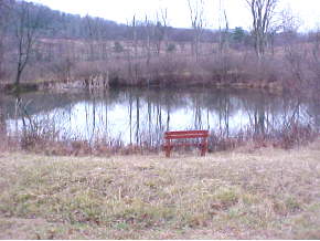 2000 Settle Road Newark Valley, NY 13811 - Photo 5 of 5 Gallery Image 5
