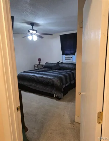 $80,000 | 317 North 8th Street, Belleville, IL 62220