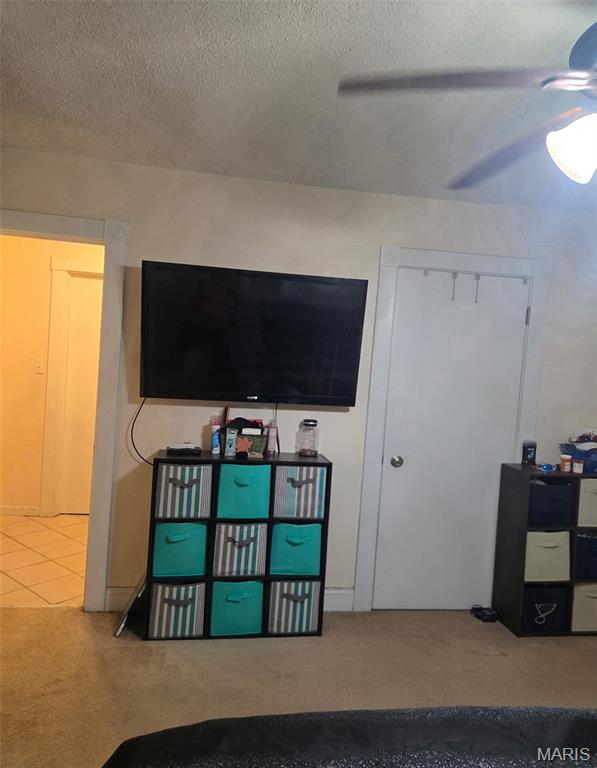 317 North 8th Street Belleville, IL 62220 - Photo 9 of 20