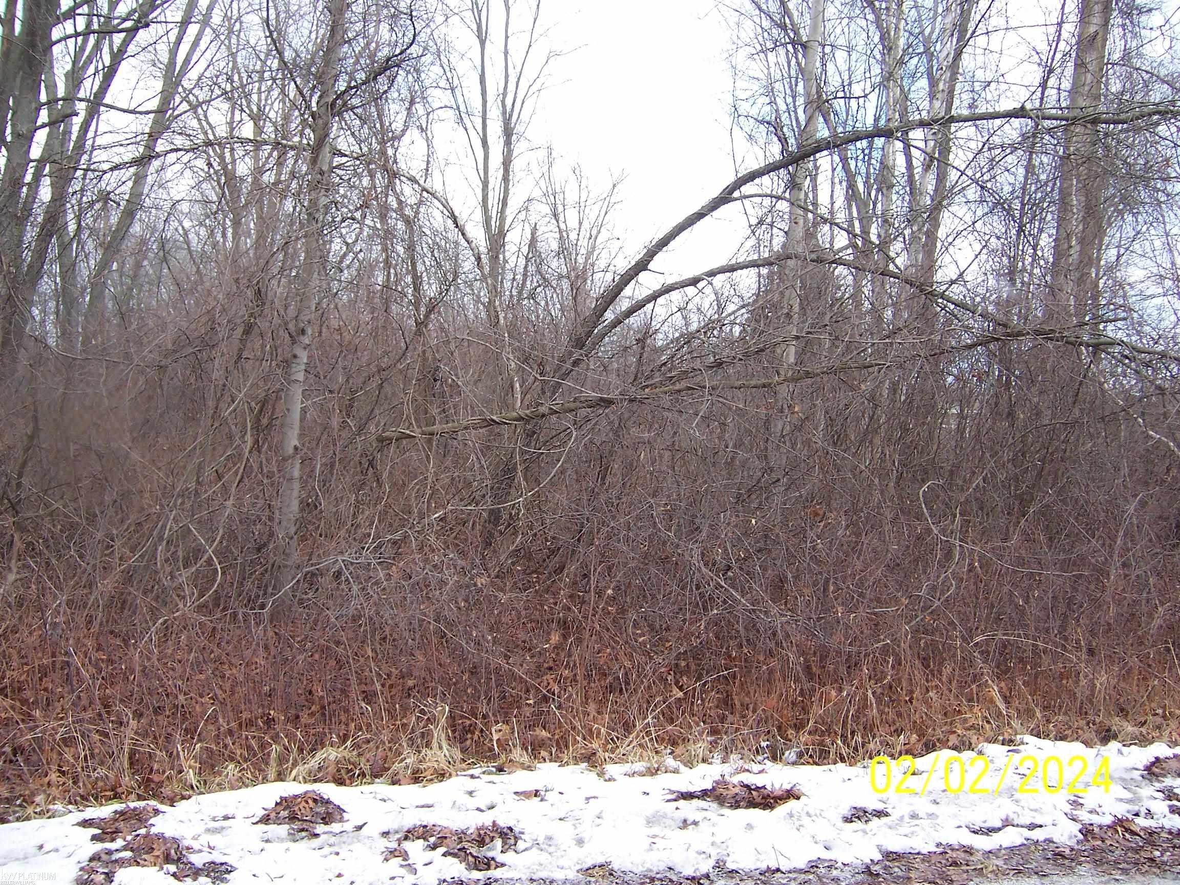 Nern Rd Port Port Huron, MI 48060 - Photo 2 of 2