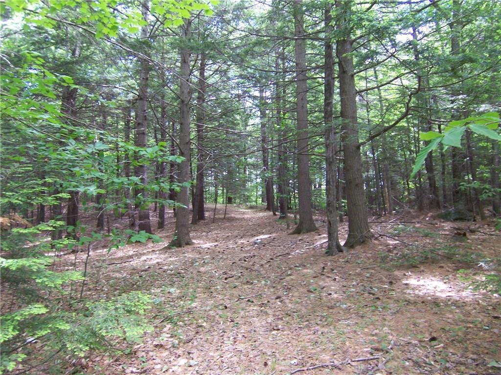 28 Walker Hill Road Wilton, ME 04294 - Photo 29 of 34 Woods Trail, Hemlock
