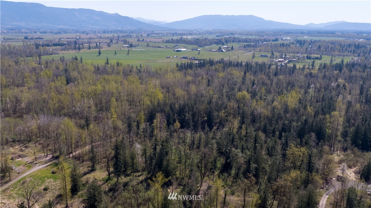 0 East Badger Road Everson, WA 98247 - Photo 2 of 17