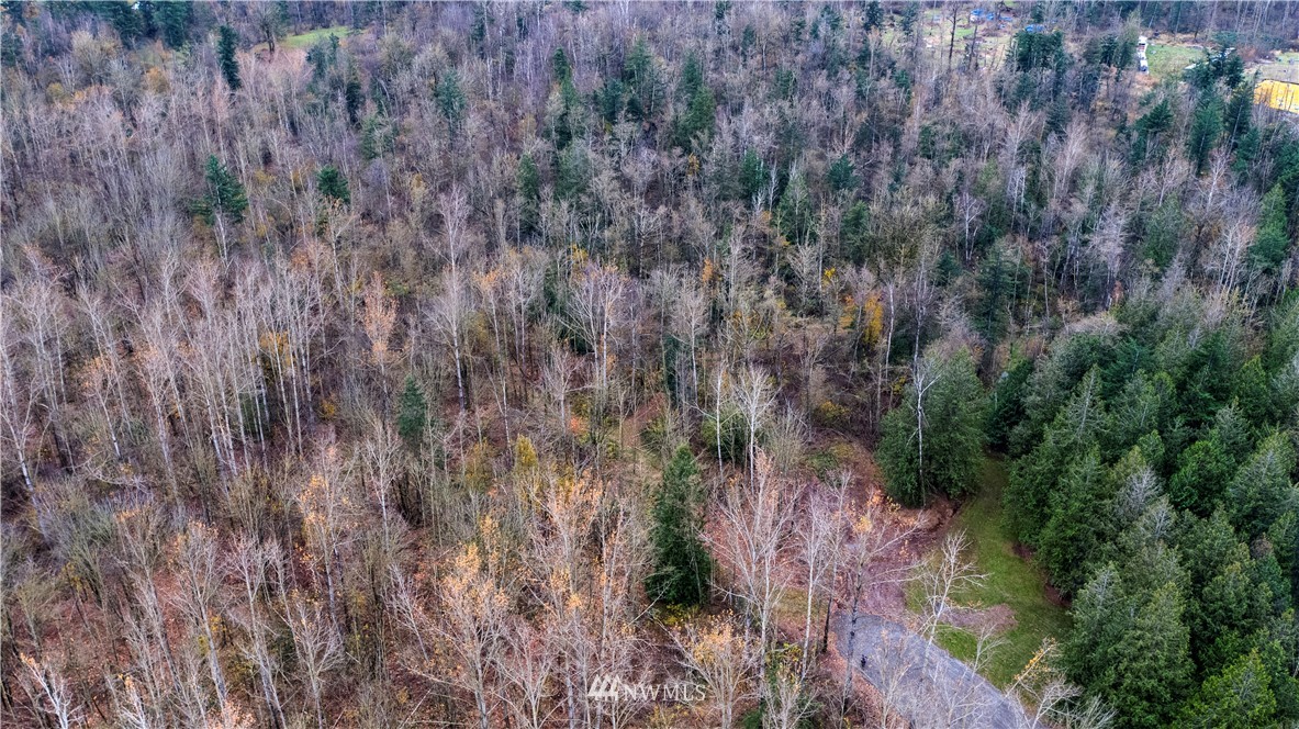 0 East Badger Road Everson, WA 98247 - Photo 11 of 17