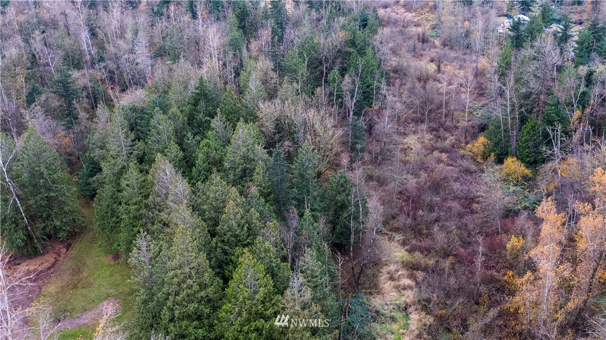 0 East Badger Road Everson, WA 98247 - Photo 12 of 17