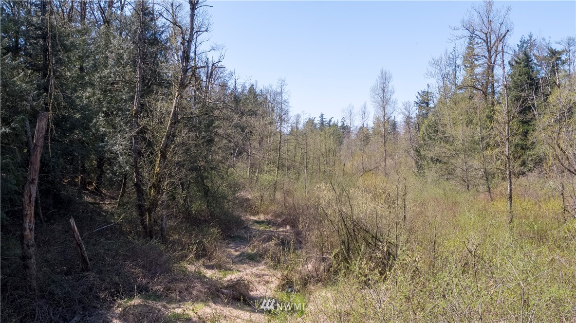 0 East Badger Road Everson, WA 98247 - Photo 14 of 17