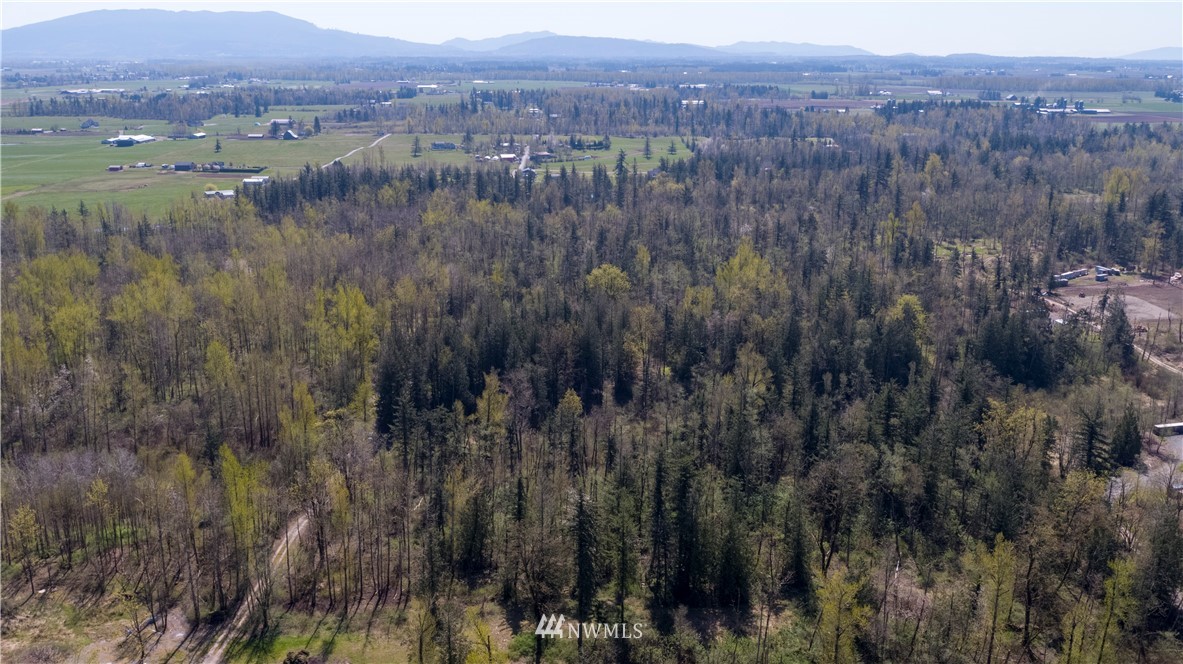 0 East Badger Road Everson, WA 98247 - Photo 16 of 17