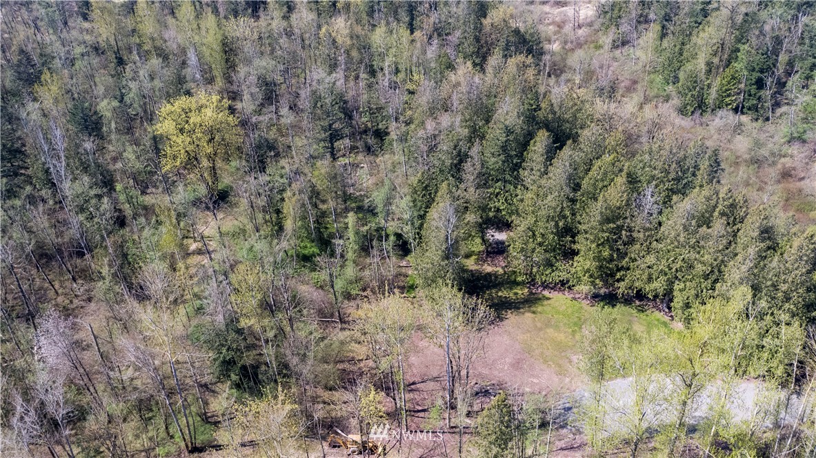 0 East Badger Road Everson, WA 98247 - Photo 3 of 17