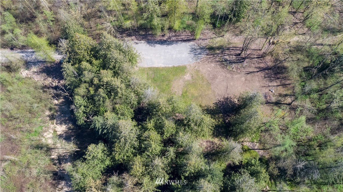 0 East Badger Road Everson, WA 98247 - Photo 4 of 17