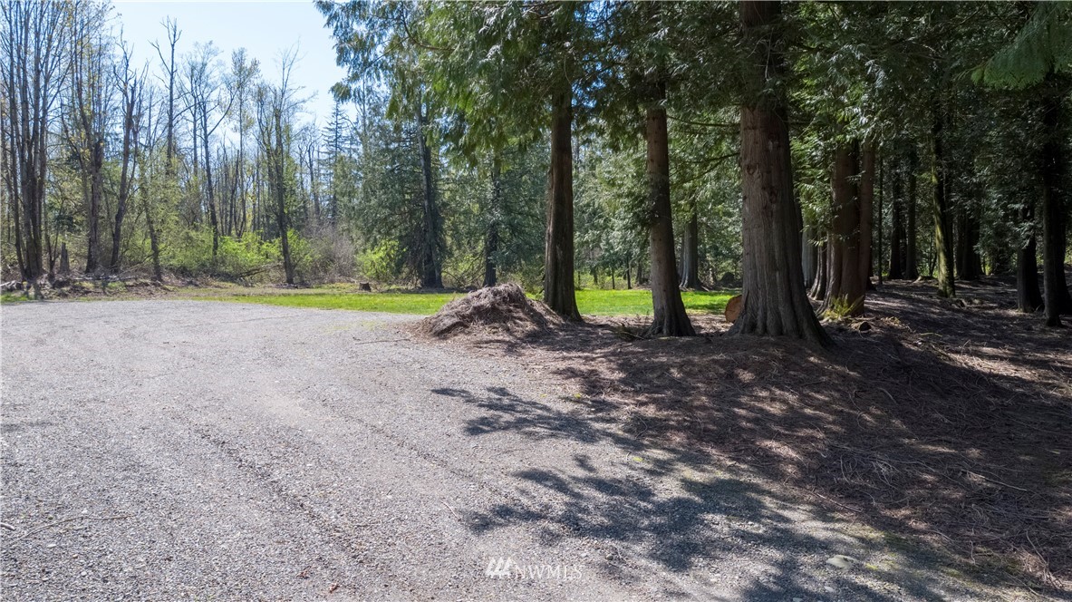 0 East Badger Road Everson, WA 98247 - Photo 5 of 17