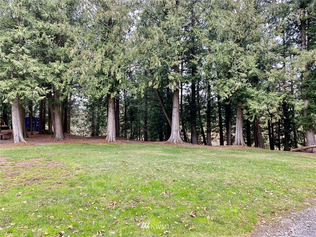0 East Badger Road Everson, WA 98247 - Photo 6 of 17