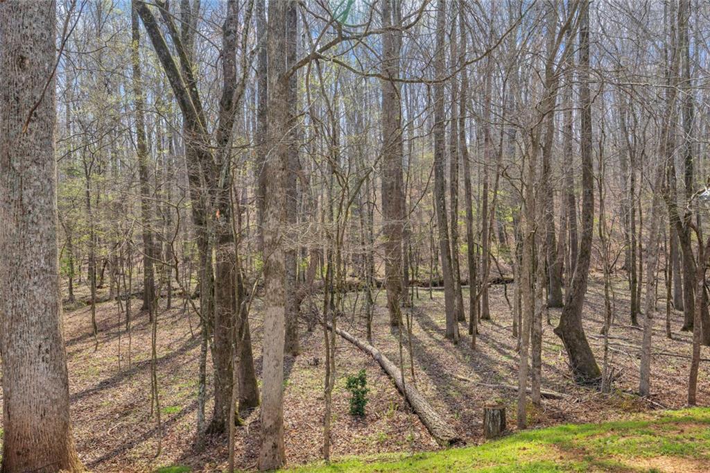 201 Wisteria Way Athens, GA 30606 - Photo 32 of 38 a view of a yard with large trees