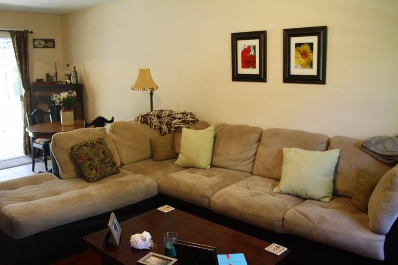 53 Mandy Circle Santa Rosa Beach, FL 32459 - Photo 11 of 13 a living room with furniture