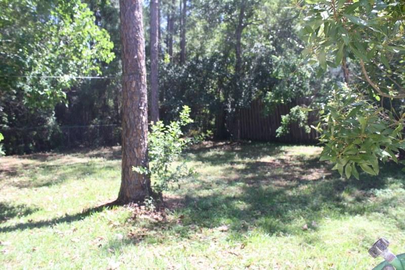 53 Mandy Circle Santa Rosa Beach, FL 32459 - Photo 5 of 13 a view of backyard with tree